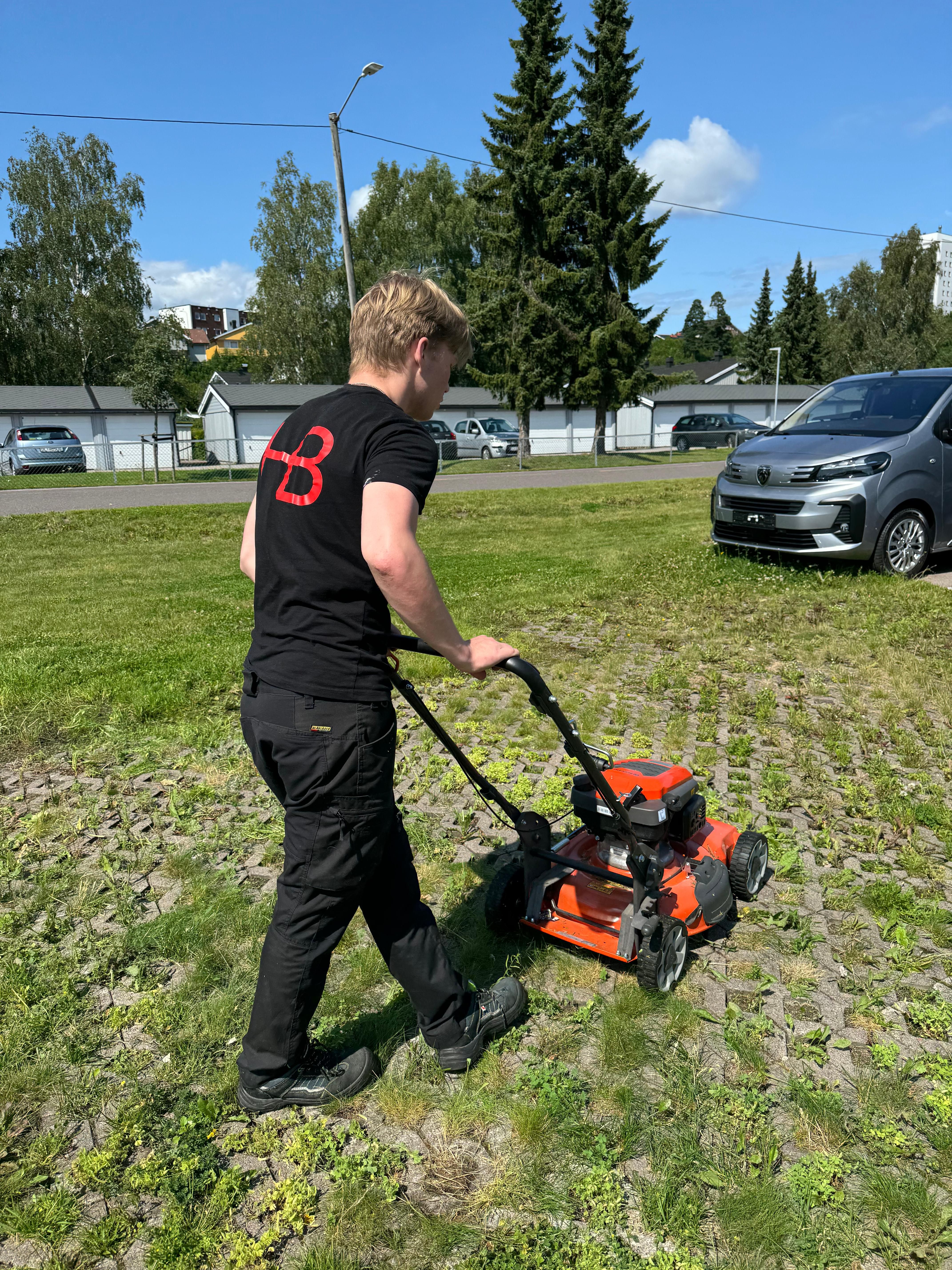 Rydding av gårdsplass